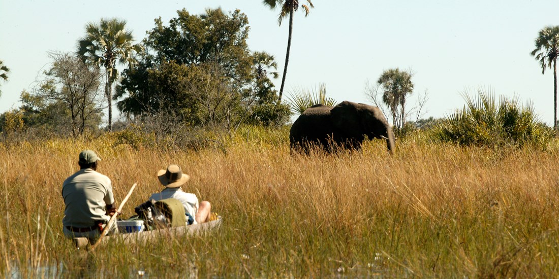 Okavangodeltat ett naturparadis – hur länge till?