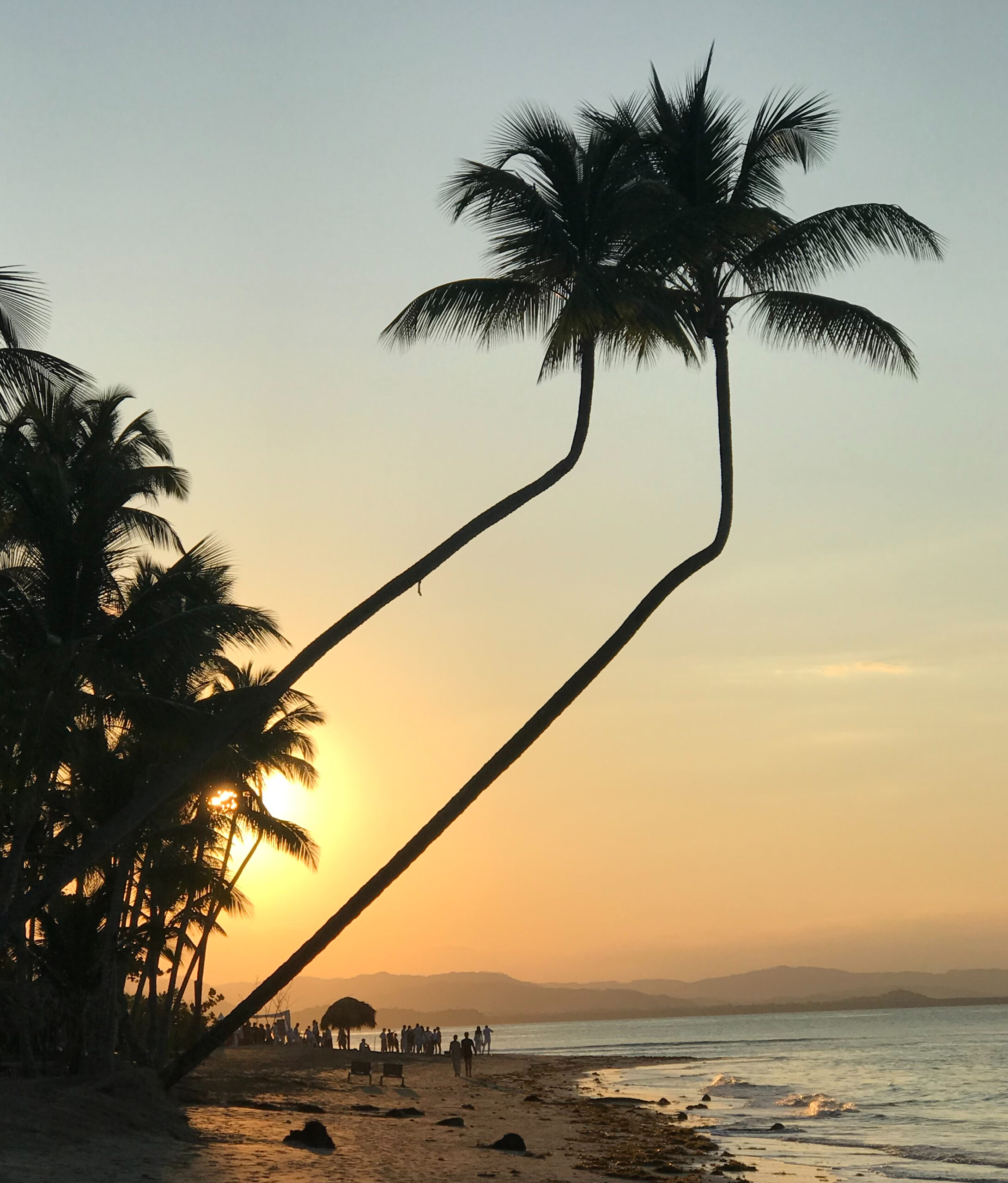 Dominikanska Republiken: Bo på en Eco-Chic resort
